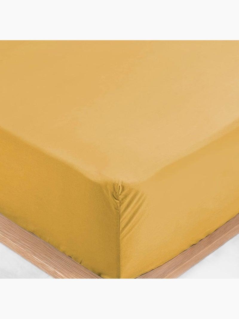 Lenzuola con angoli in percalle di cotone LIA PROMO LINGE Giallo - Kiabi