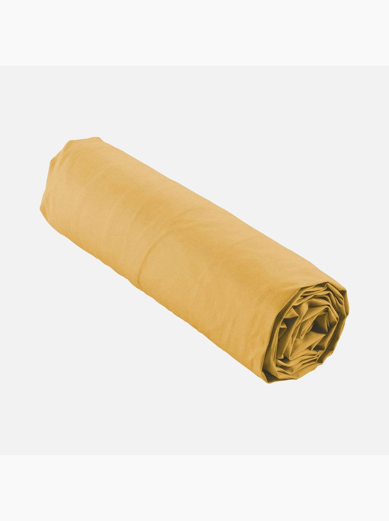 Lenzuola con angoli in percalle di cotone LIA PROMO LINGE Giallo - Kiabi