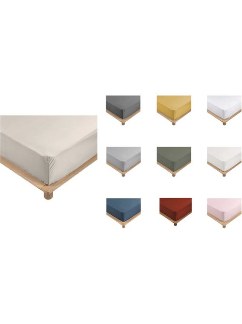 Lenzuola con angoli in percalle di cotone LIA PROMO LINGE - Kiabi