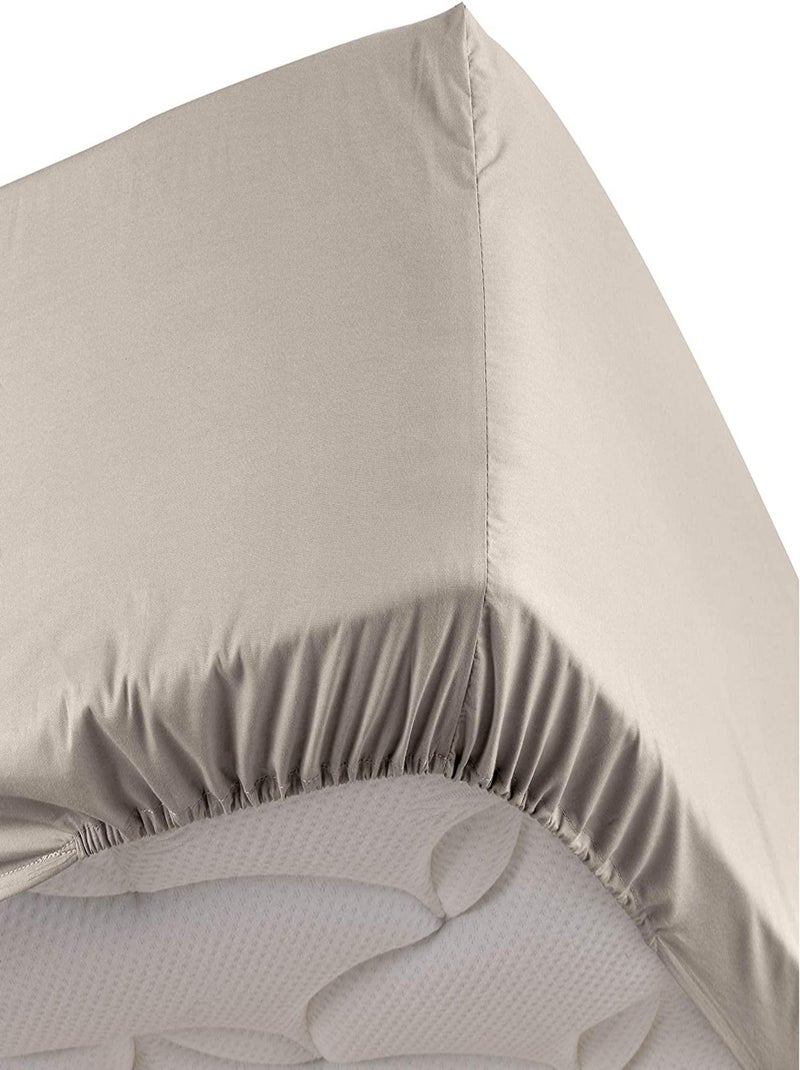 Lenzuola con angoli in percalle di cotone LIA PROMO LINGE Marrone glacé - Kiabi