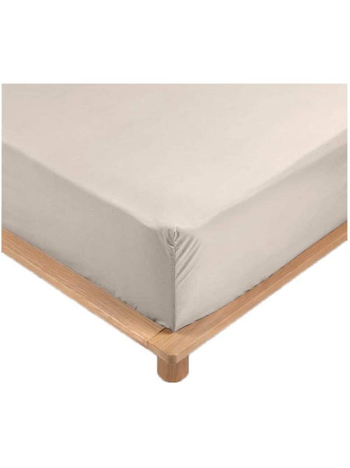 Lenzuola con angoli in percalle di cotone LIA PROMO LINGE - Kiabi