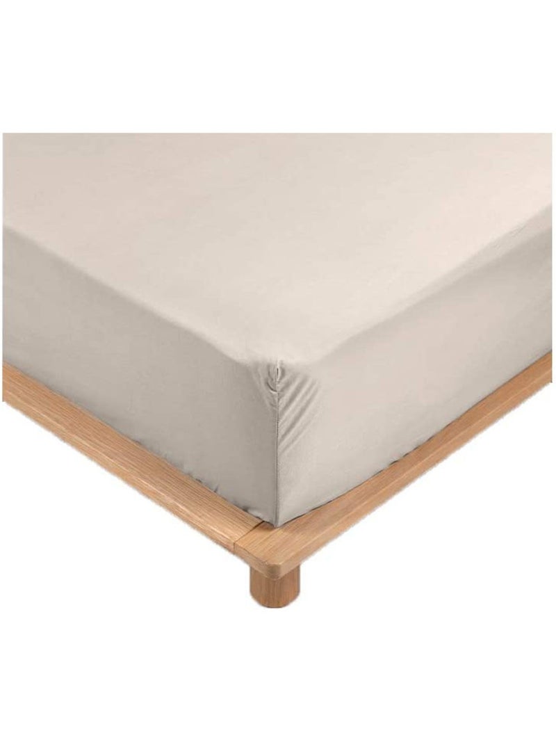 Lenzuola con angoli in percalle di cotone LIA PROMO LINGE Marrone glacé - Kiabi