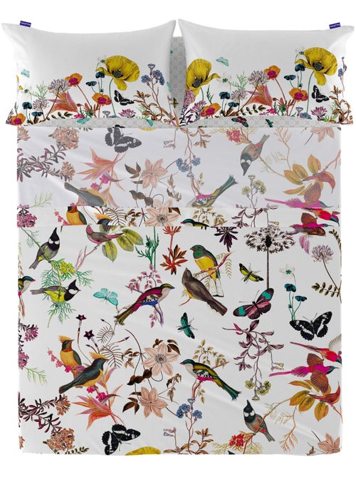 Lenzuolo Birds of paradise "Happyfriday" - Kiabi