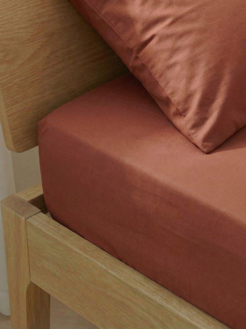 Lenzuolo con angoli 2 piazze (180x200) in cotone - Kiabi Home - Kiabi