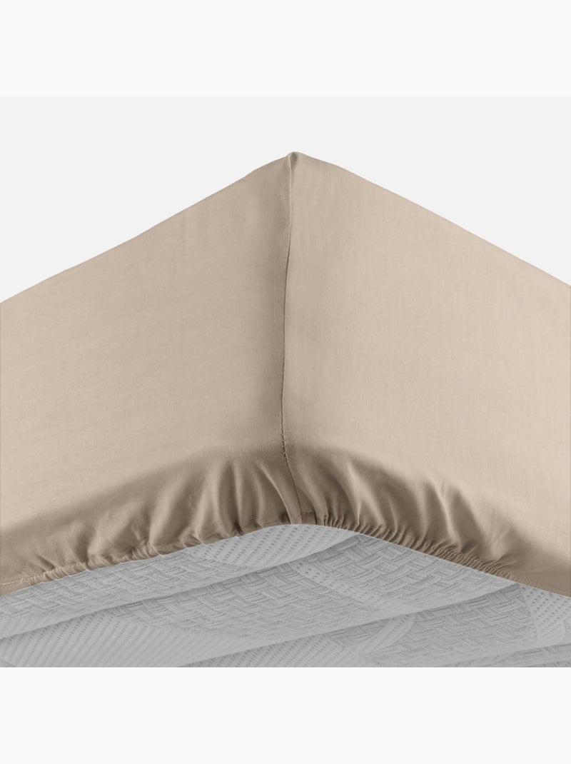 Lenzuolo con angoli in Cotone LINA Douceur d'Intérieur Beige - Kiabi