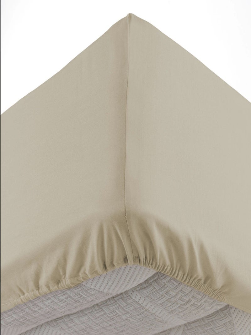Lenzuolo con angoli in Cotone LINA Douceur d'Intérieur Beige - Kiabi