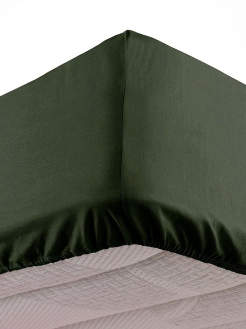 Lenzuolo con angoli in Microfibra Oscar Douceur d'Intérieur - Kiabi