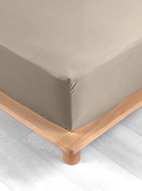 Lenzuolo con angoli in percalle di cotone percale Douceur d'Intérieur - Kiabi