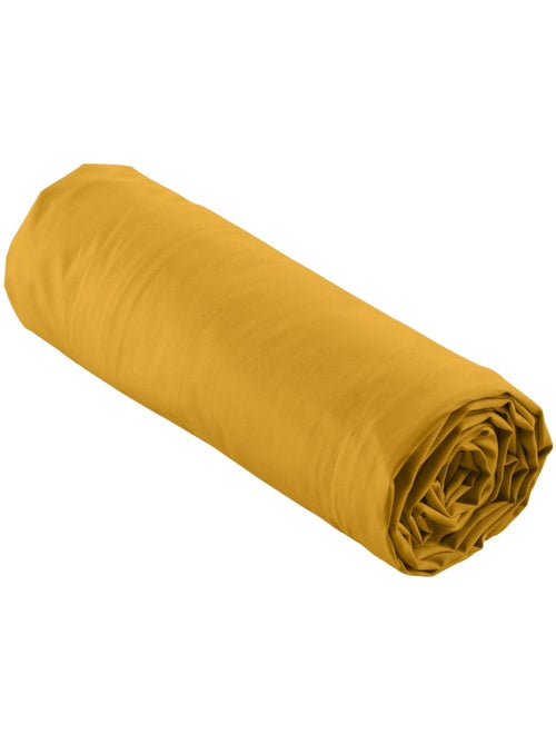 Lenzuolo con angoli in percalle di cotone percale Douceur d'Intérieur - Kiabi