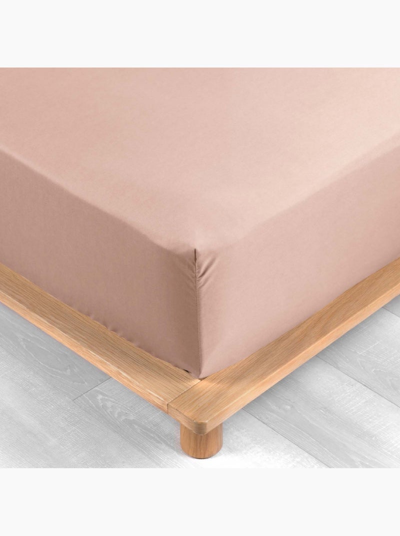Lenzuolo con angoli in percalle di cotone percale Douceur d'Intérieur Rosa - Kiabi