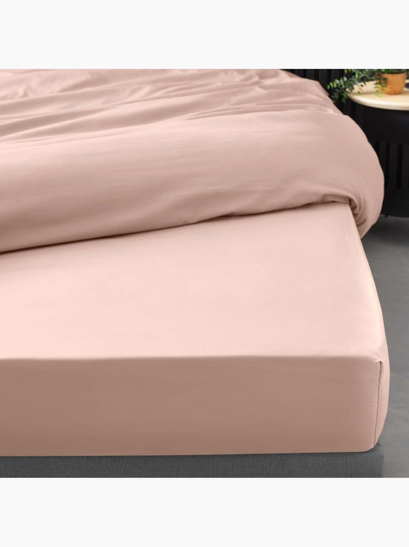 Lenzuolo con angoli in percalle di cotone percale Douceur d'Intérieur Rosa - Kiabi