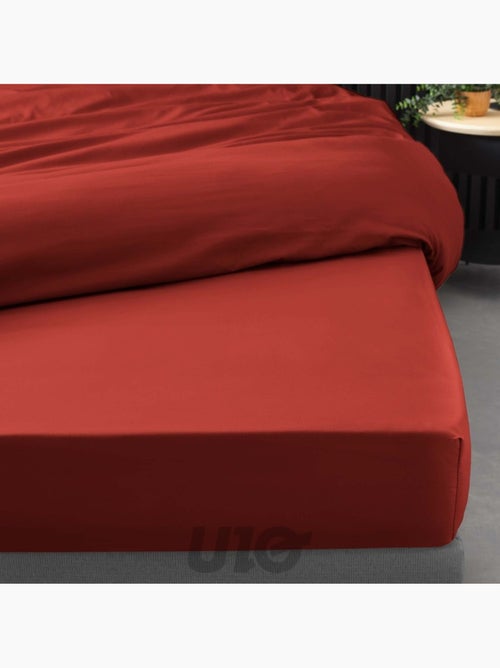 Lenzuolo con angoli in percalle di cotone percale Douceur d'Intérieur - Kiabi Lenzuolo con angoli in percalle di cotone percale Douceur d'Intérieur - Kiabi