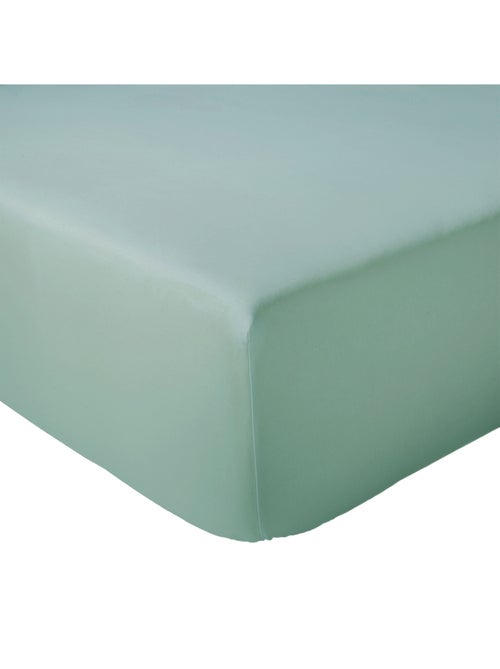 Lenzuolo con angoli in percalle di cotone tinta unita con angolo da 40 cm - Kiabi