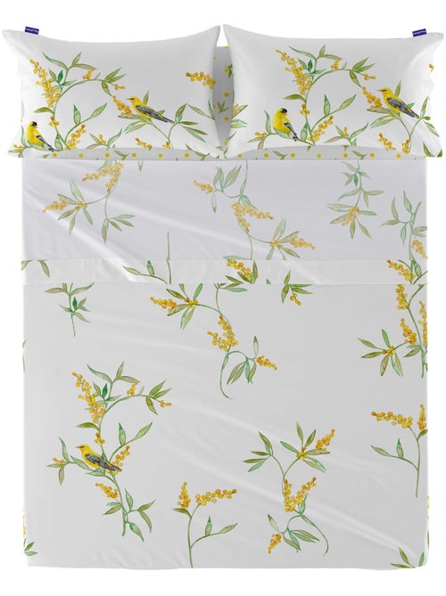 Lenzuolo Corniglia "Happyfriday" - Kiabi