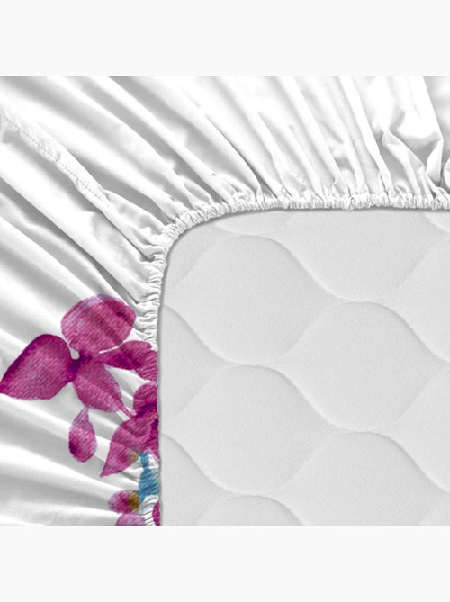 Lenzuolo inferiore Cassia "Happyfriday" - Kiabi