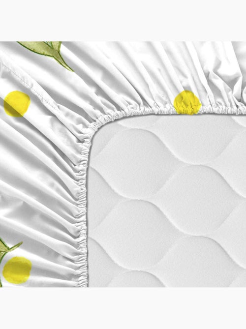 Lenzuolo inferiore Corniglia "Happyfriday" - Kiabi