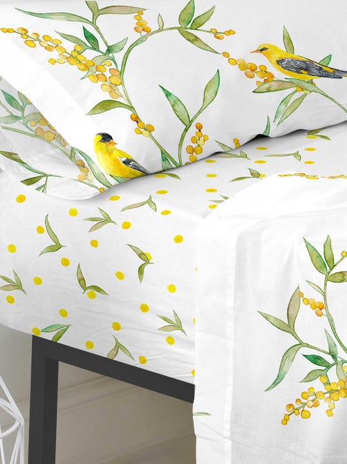 Lenzuolo inferiore Corniglia "Happyfriday" - Kiabi