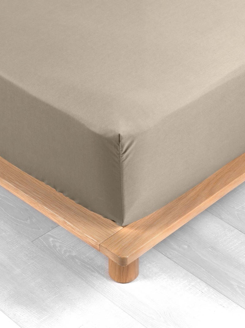 Lenzuolo liscio 100% cotone percalle ORIGINE Beige sabbia - Kiabi