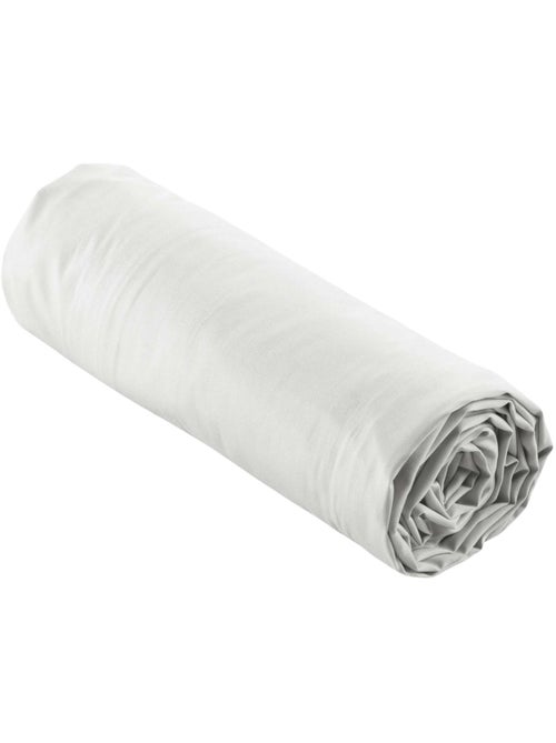 Lenzuolo liscio 100% cotone percalle ORIGINE - Kiabi