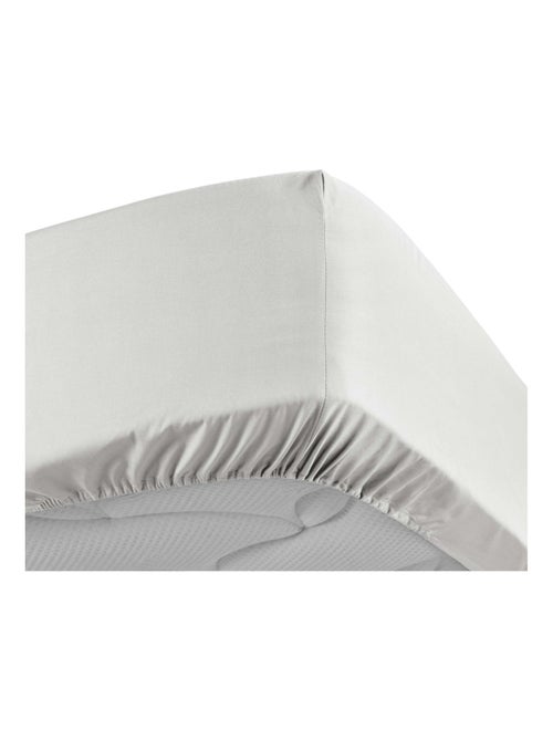 Lenzuolo liscio 100% cotone percalle ORIGINE - Kiabi