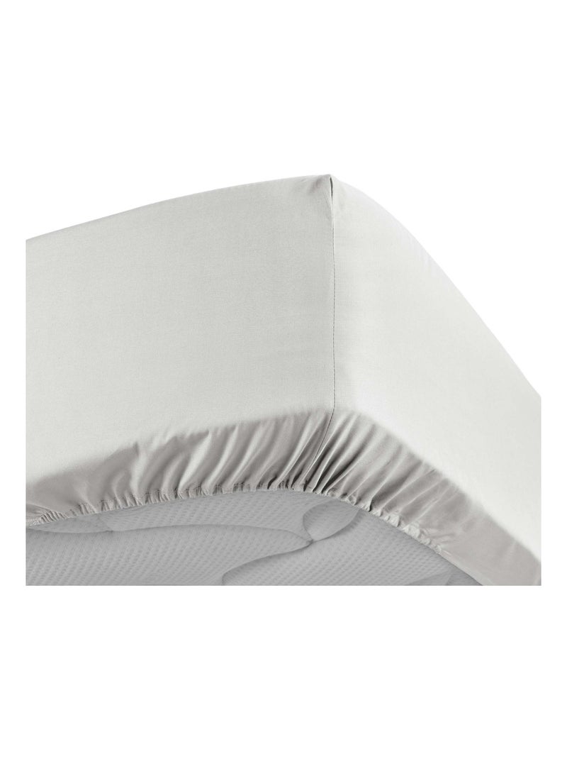 Lenzuolo liscio 100% cotone percalle ORIGINE Bianco - Kiabi
