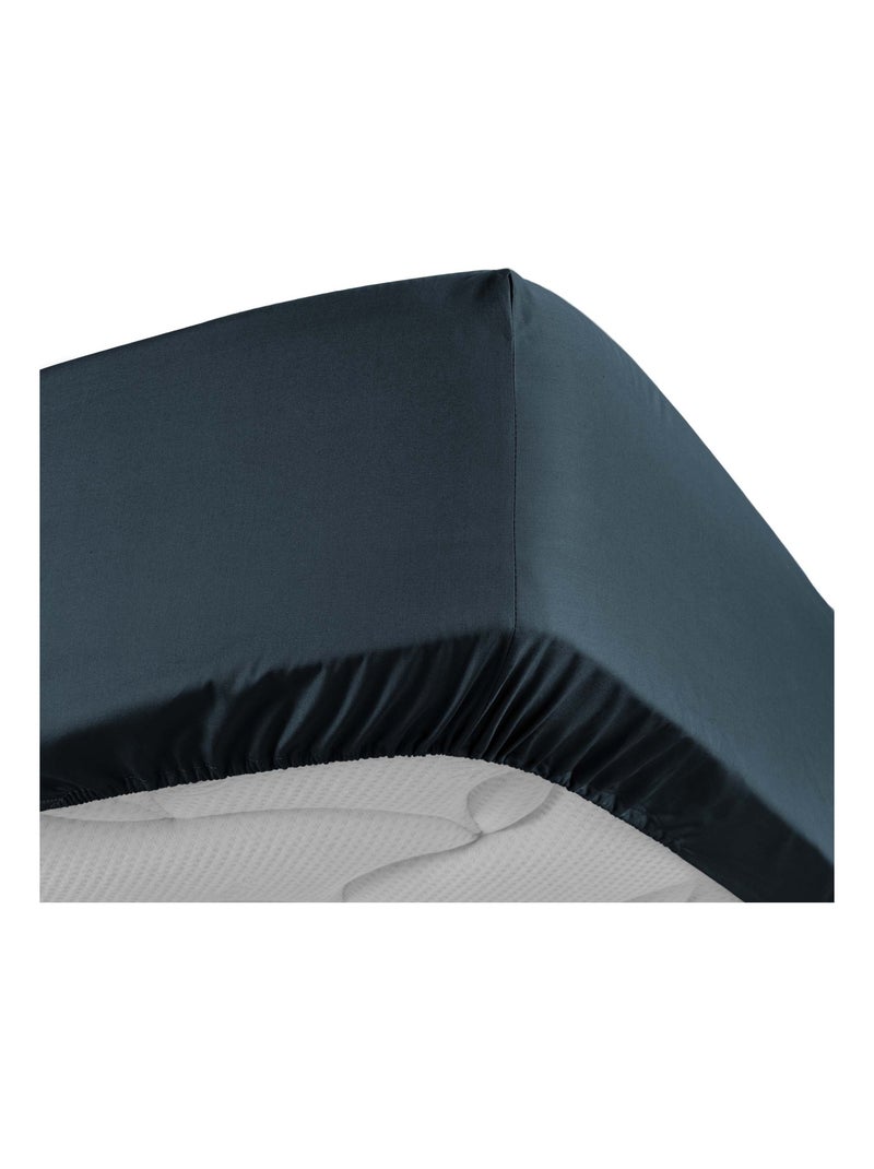 Lenzuolo liscio 100% cotone percalle ORIGINE Blu scuro - Kiabi