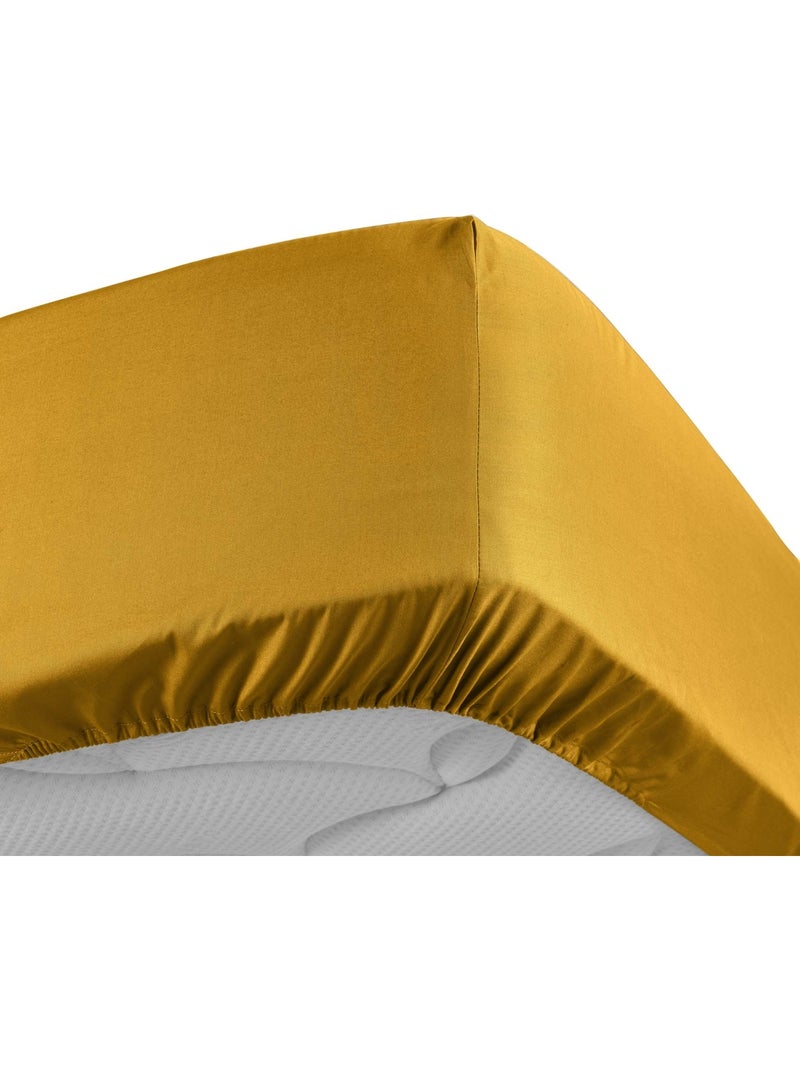 Lenzuolo liscio 100% cotone percalle ORIGINE Giallo - Kiabi