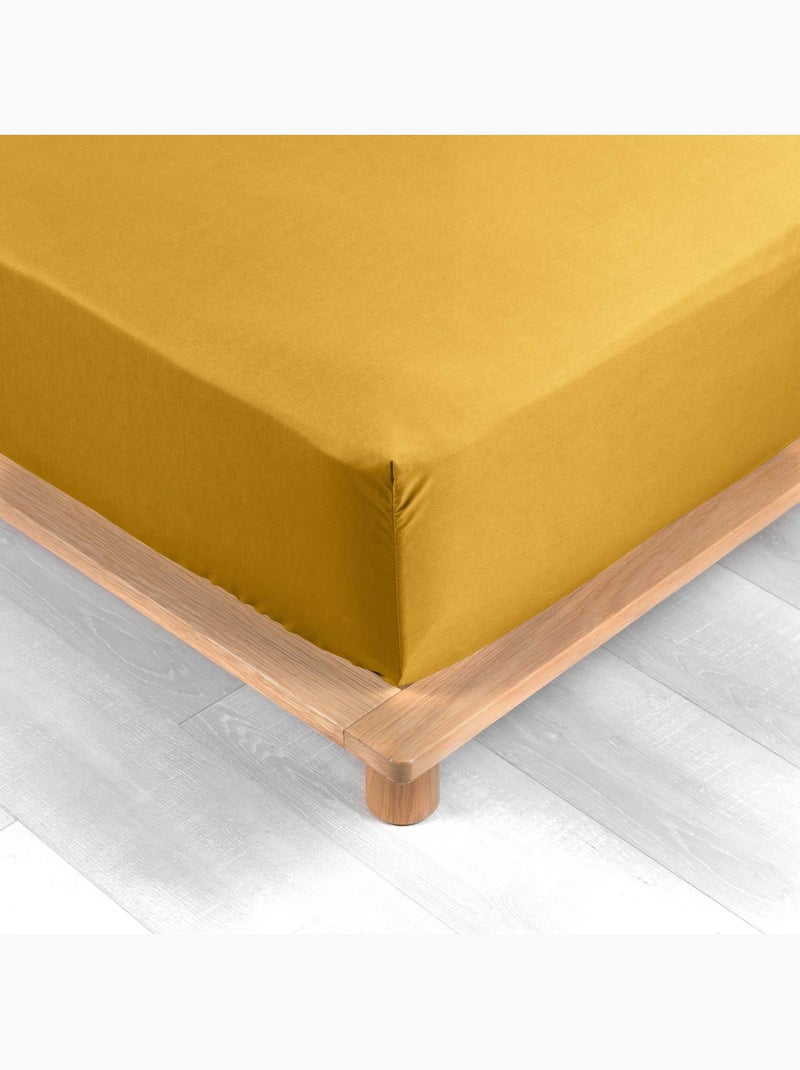 Lenzuolo liscio 100% cotone percalle ORIGINE Giallo - Kiabi