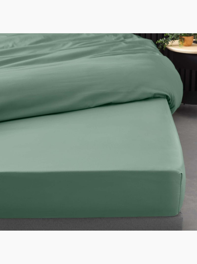 Lenzuolo liscio 100% cotone percalle ORIGINE Verde tiglio - Kiabi