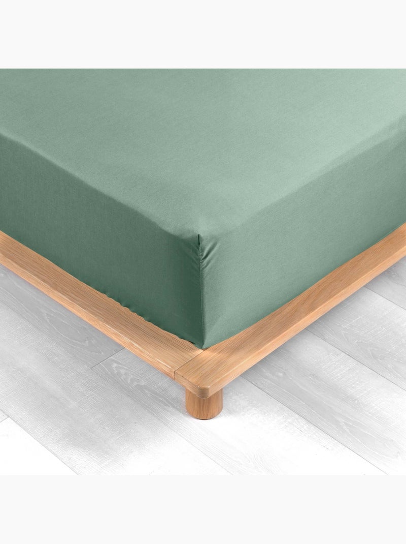 Lenzuolo liscio 100% cotone percalle ORIGINE Verde tiglio - Kiabi