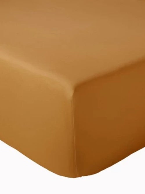 Lenzuolo per letto basculante in cotone uni bonnet 30 cm - Kiabi