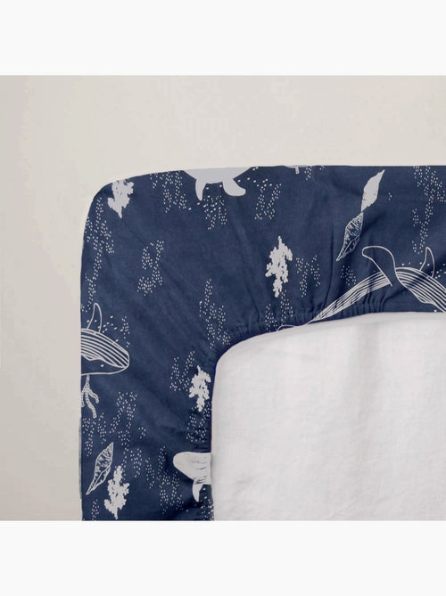 Lenzuolo per neonato in jersey di cotone 100% con balena elasticizzata - Kiabi