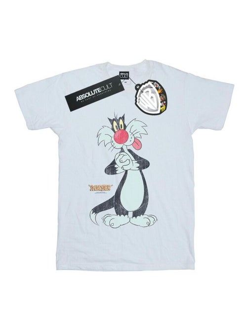 Looney Tunes Maglietta Sylvester  Effetto invecchiato Uomo - Kiabi