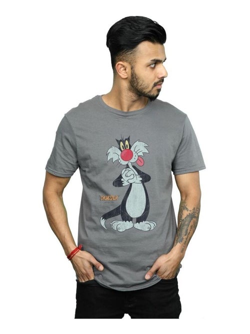 Looney Tunes Maglietta Sylvester  Effetto invecchiato Uomo - Kiabi
