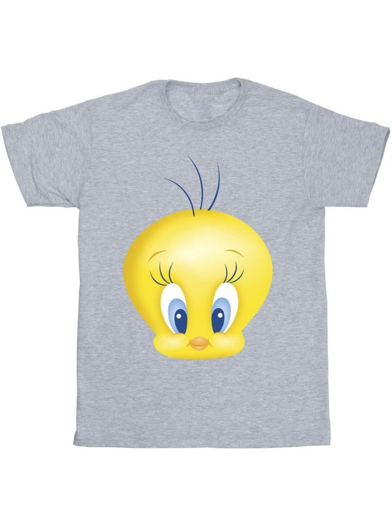Looney Tunes Maglietta Titti Viso Uomo Grigio melangiato - Kiabi