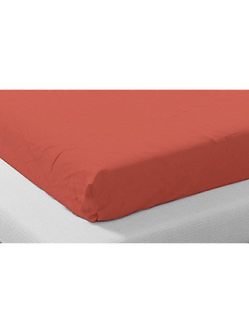 Lotto di 2 lenzuola con angoli in cotone biologico - Kiabi