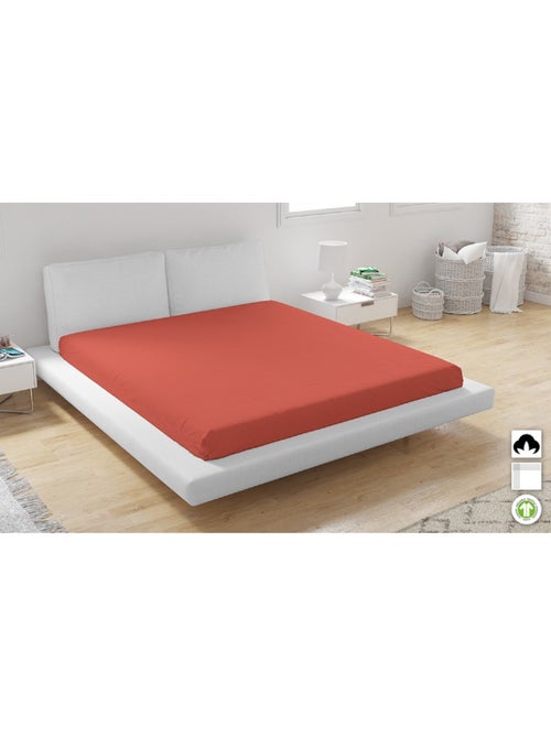 Lotto di 2 lenzuola con angoli in cotone biologico - Kiabi