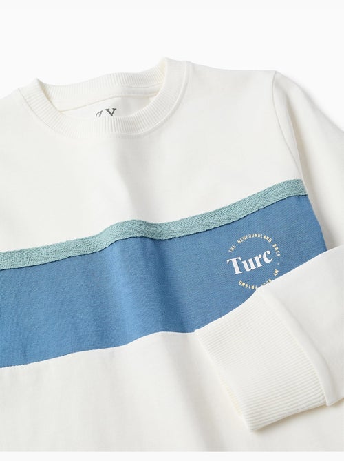 Maglietta in cotone a manica lunga con stampa - Kiabi