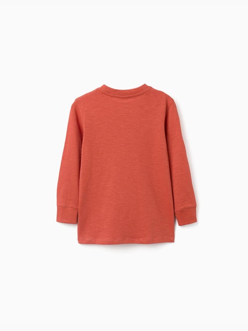 Maglietta in cotone a manica lunga con stampa lanzarote - Kiabi