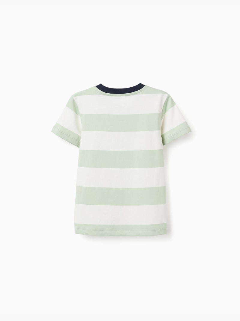 Maglietta in cotone a righe Verde chiaro - Kiabi