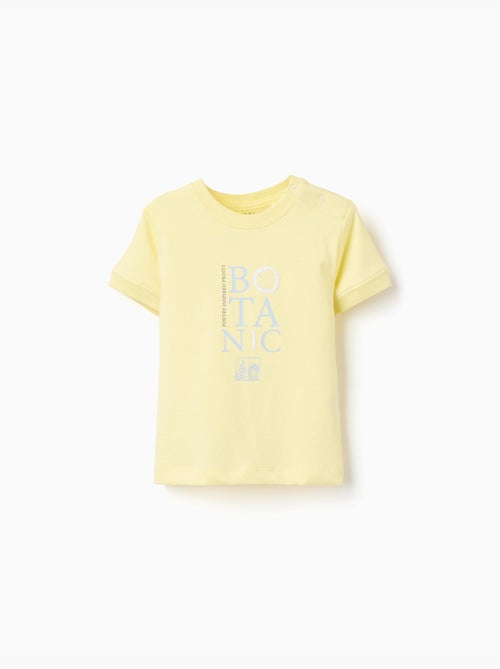 Maglietta in cotone con stampa Botanic - Kiabi