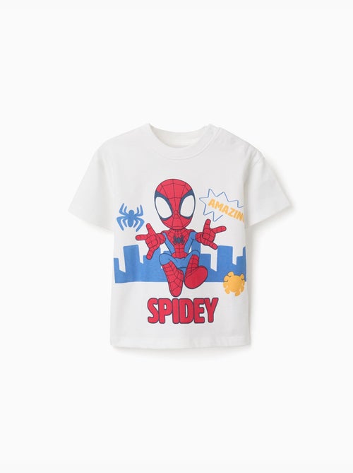Maglietta in cotone con stampa Spidey - Kiabi