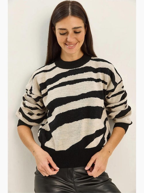 Maglione a girocollo in maglia spessa con stampa zebrata lucci - Kiabi Maglione a girocollo in maglia spessa con stampa zebrata lucci - Kiabi