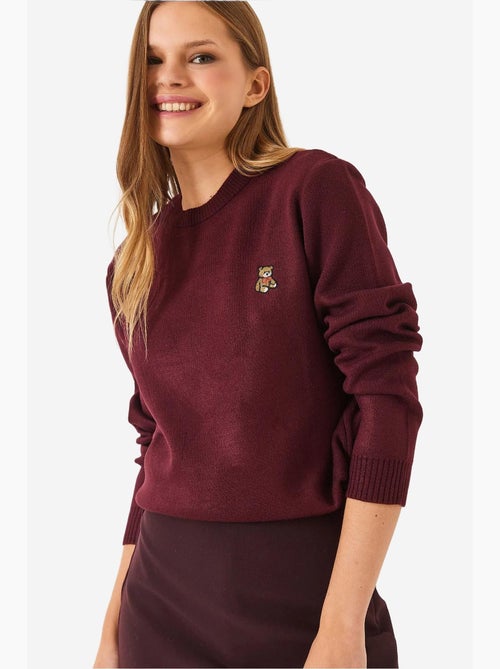 Maglione basic ricamato teddy lucci - Kiabi