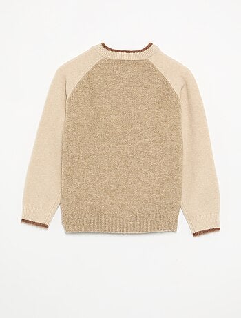 Maglione con maniche a contrasto