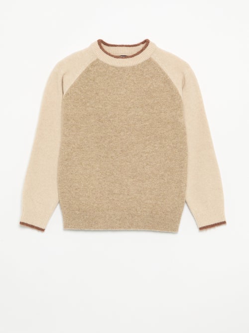 Maglione con maniche a contrasto - Kiabi