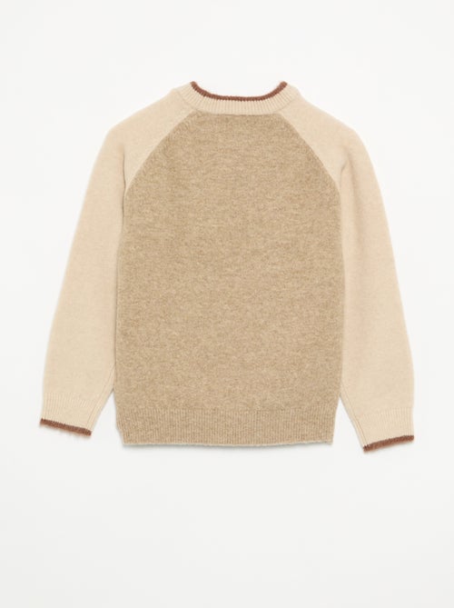 Maglione con maniche a contrasto - Kiabi