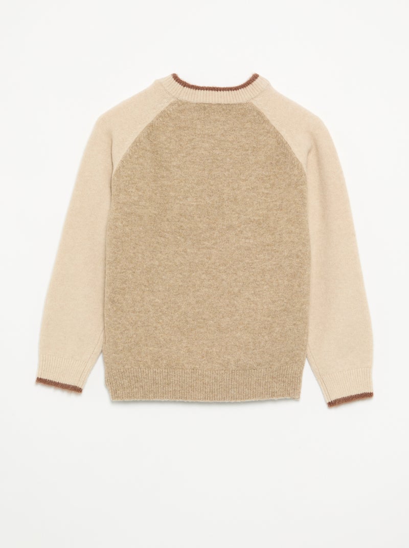 Maglione con maniche a contrasto Beige - Kiabi
