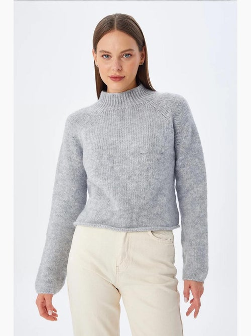 Maglione cropped da donna in maglia testurizzata mixray - Kiabi Maglione cropped da donna in maglia testurizzata mixray - Kiabi