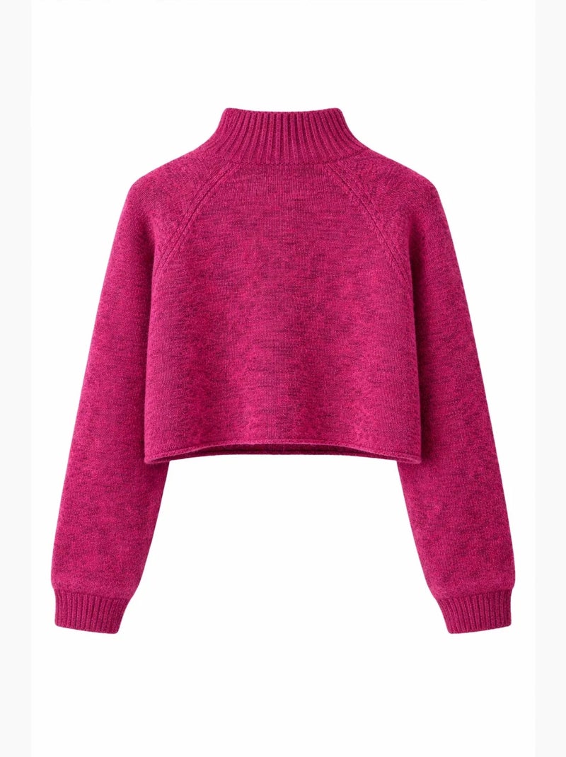 Maglione cropped da donna in maglia testurizzata mixray Viola prugna - Kiabi